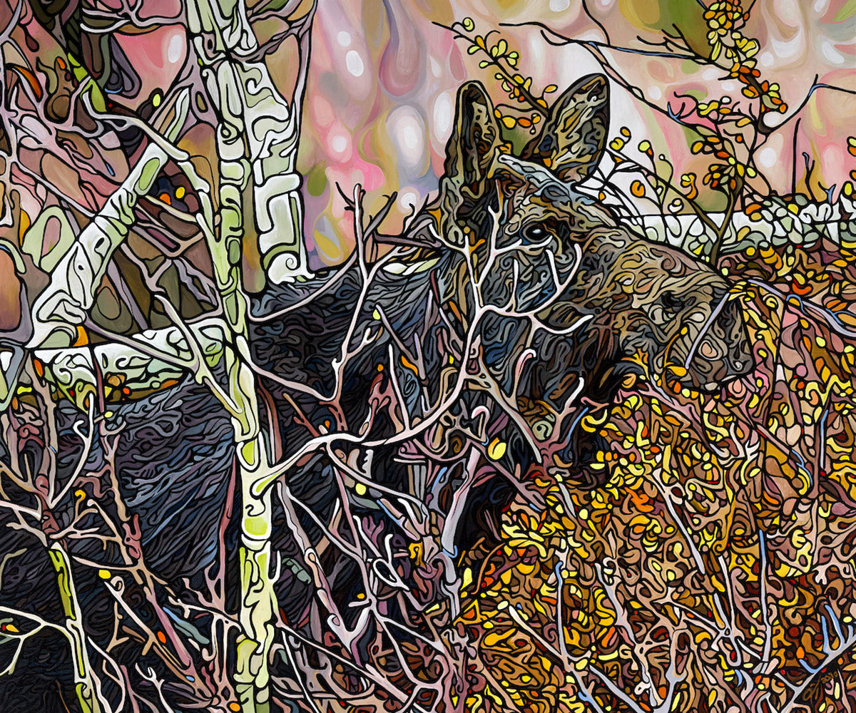 188-sanctuary-prints