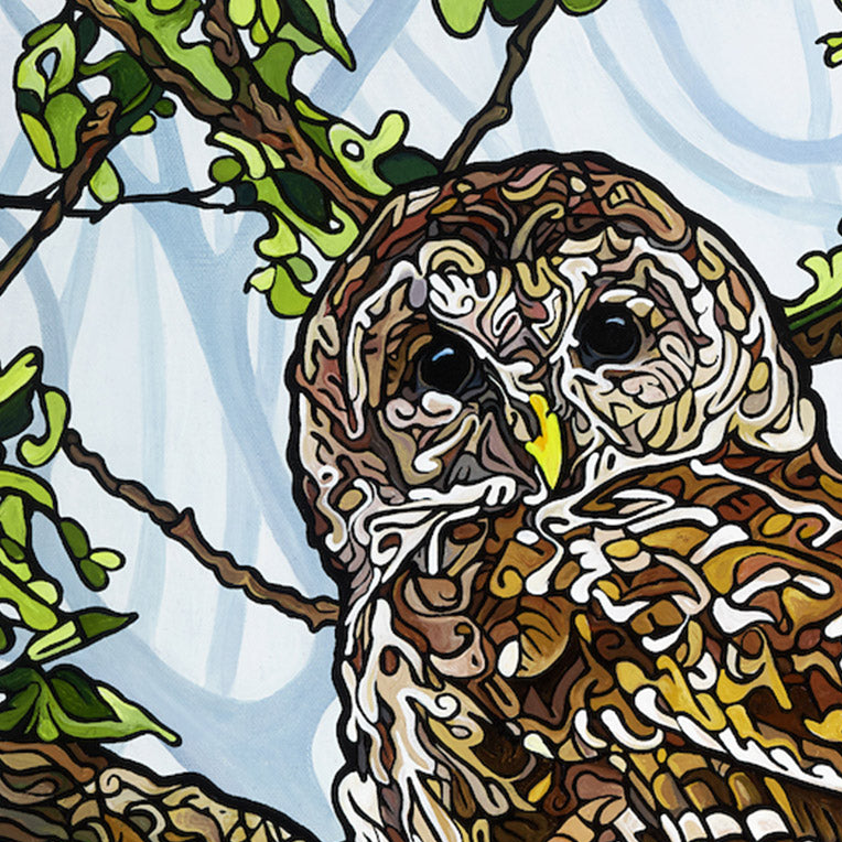 #189 "Forever Looking At You"