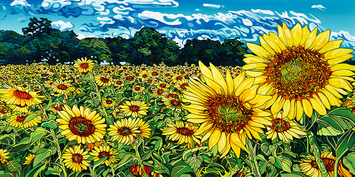 224-the-field-of-dreams