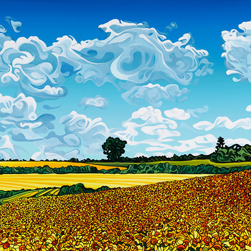 #225 – Follow the Sun