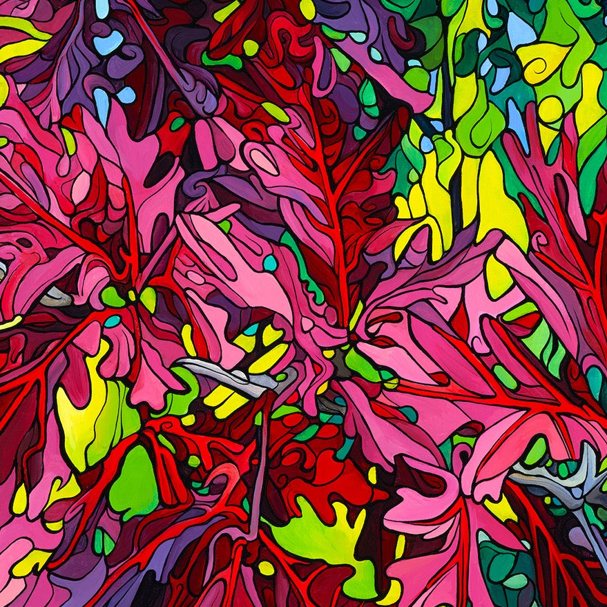 #242 – Majestic Maroon Oak