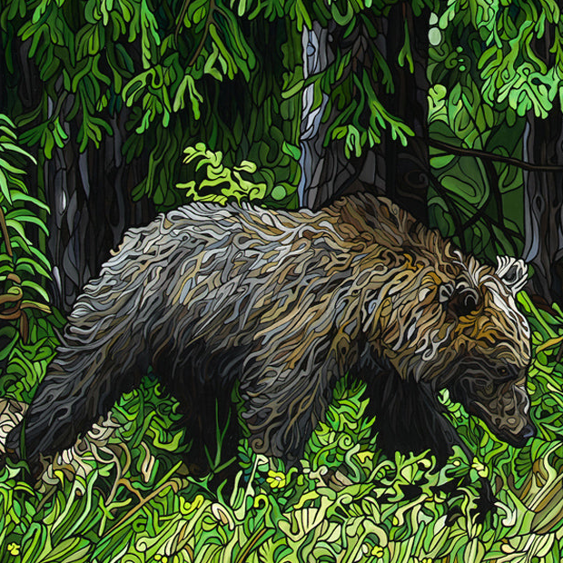 #257 "A Bears Quest"