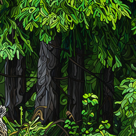 #257 "A Bears Quest"