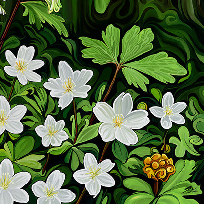 #293 - Stars and Lanterns