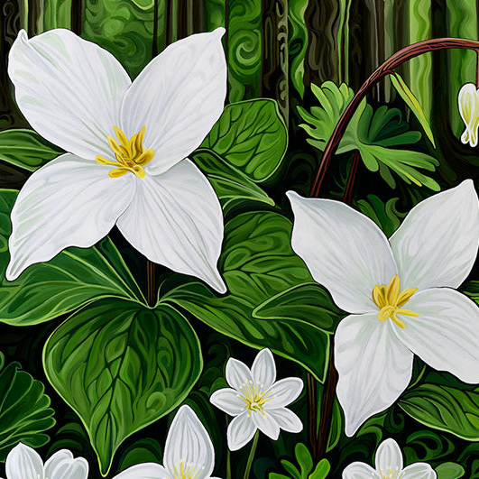 #293 - Stars and Lanterns