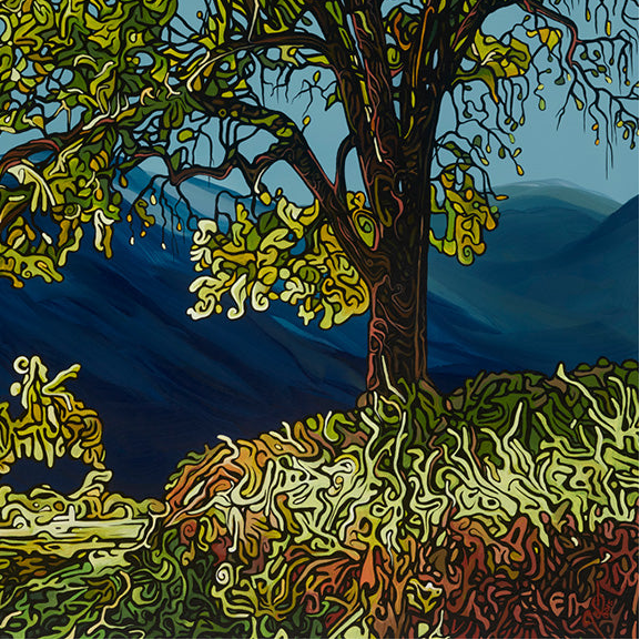 #77 – The Riverbend