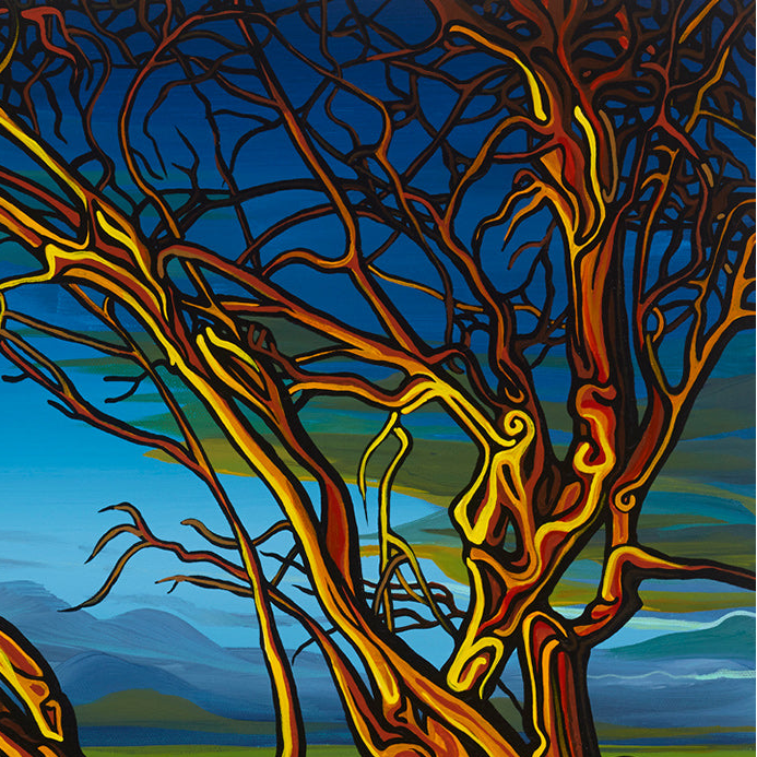 #87 – Light Comes Before Dark