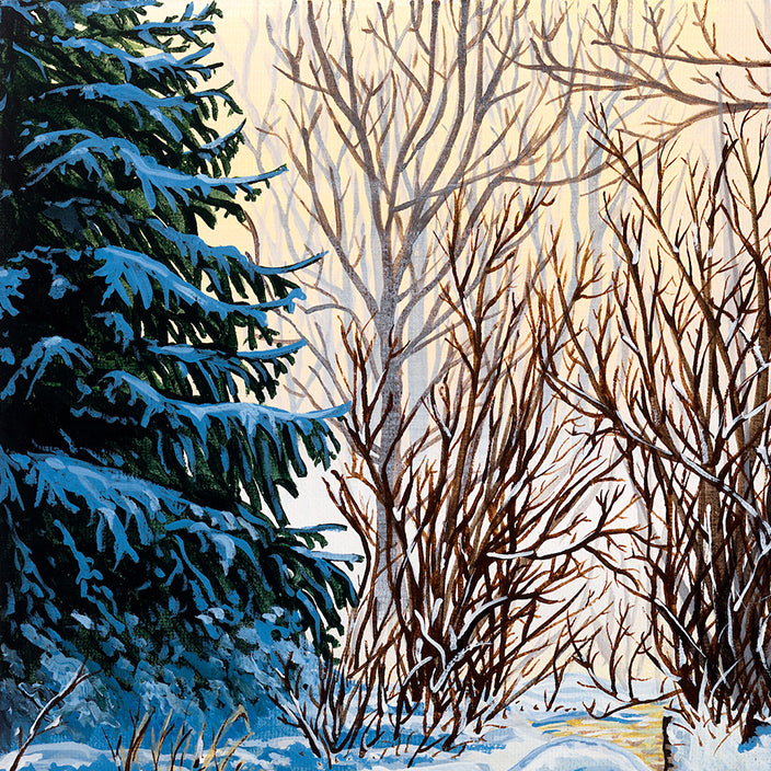 #0-1 " Enchanted Forest"