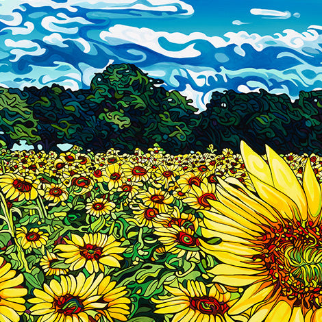 #224 "The Field Of Dreams"