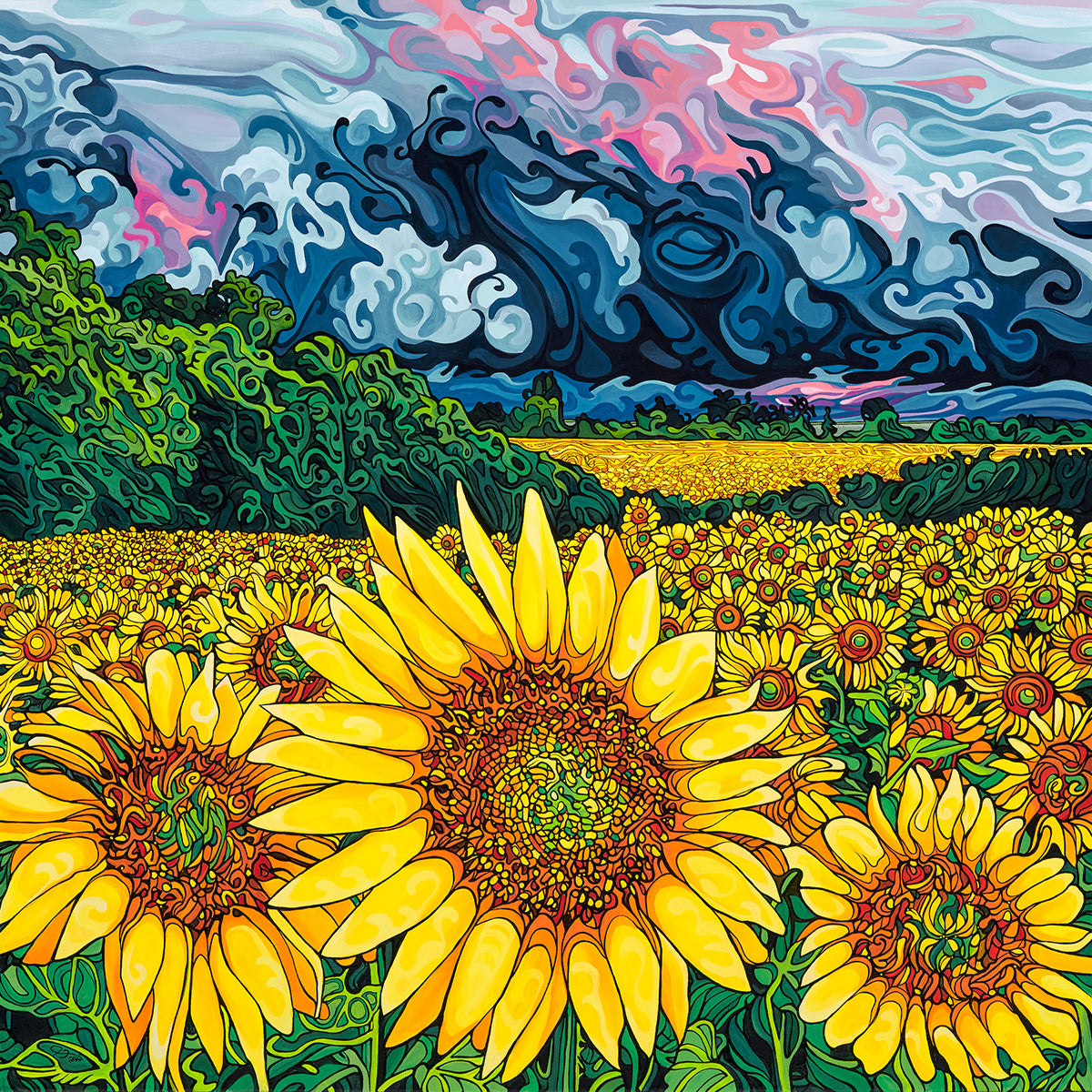 230-splendour-in-the-storm