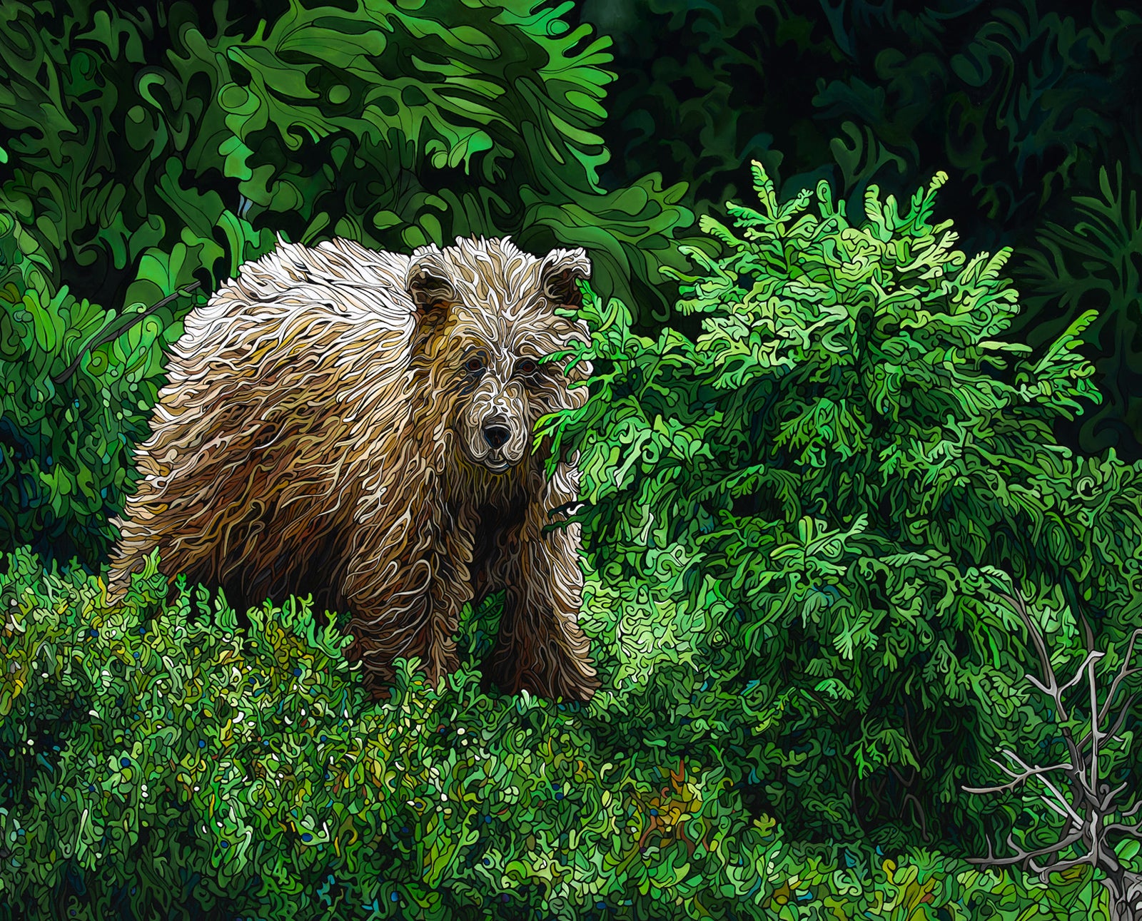 256-hidden-among-the-firs-prints