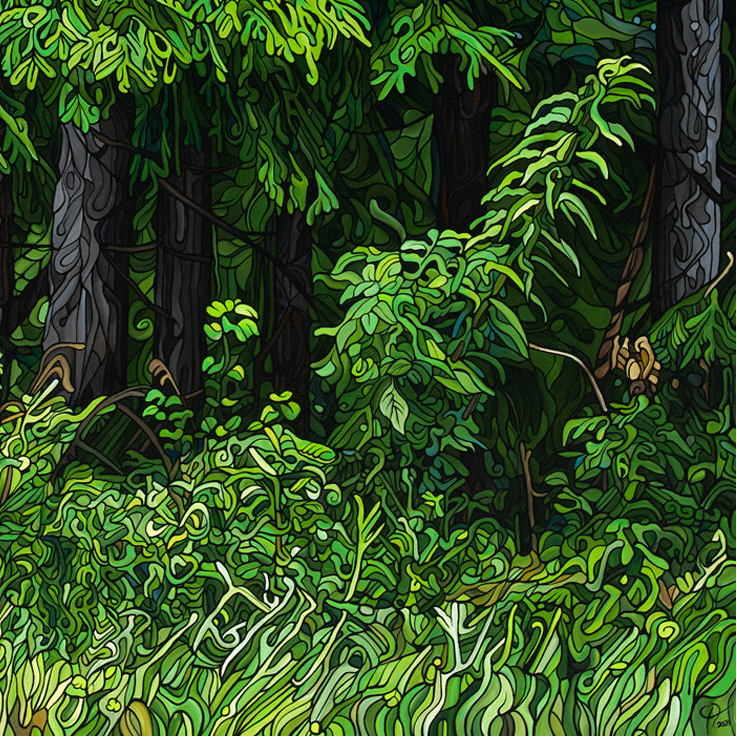 #257 – A Bear's Quest