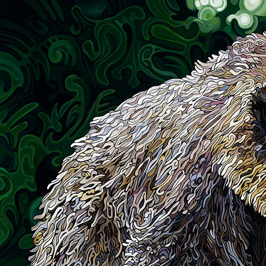 #260 – The Elusive Bear