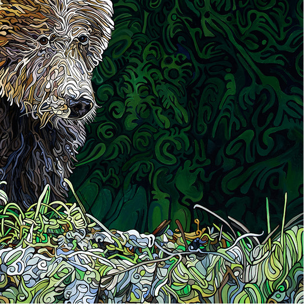 #260 – The Elusive Bear