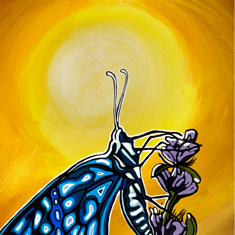 #43 "Last Flight At Dawn"