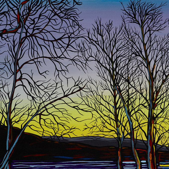 #44 "Waking Morning Light"